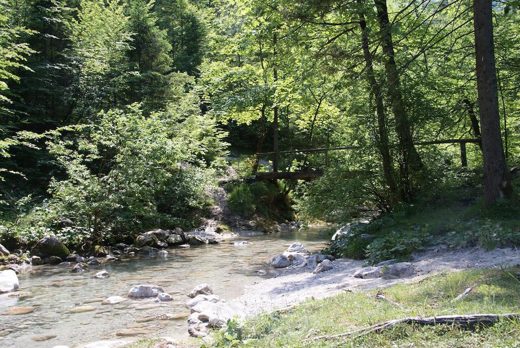 Ferienwohnung Bluntaumuehle Golling an der Salzach Rum bild