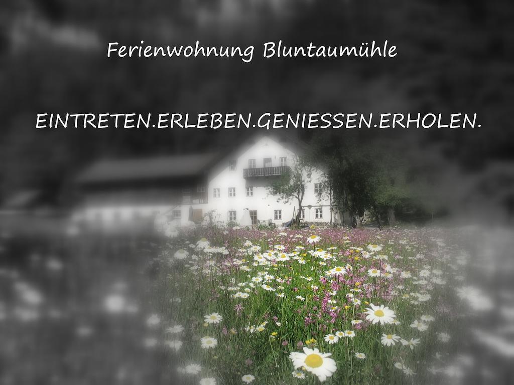 Ferienwohnung Bluntaumuehle Golling an der Salzach Rum bild